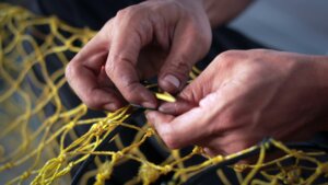 Mending the Safety Net