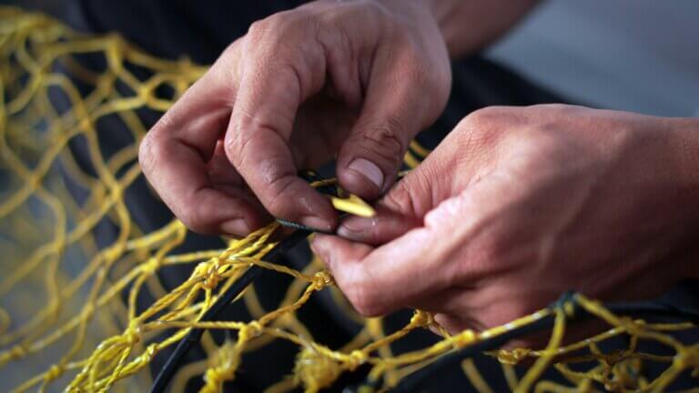 Mending the Safety Net