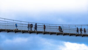 LEAP Bridge