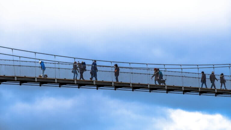 LEAP Bridge